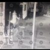 **Enfrentamiento entre Taxista y Vigilante de Seguridad en San José Momoxpan Genera Indignación en Redes Sociales**