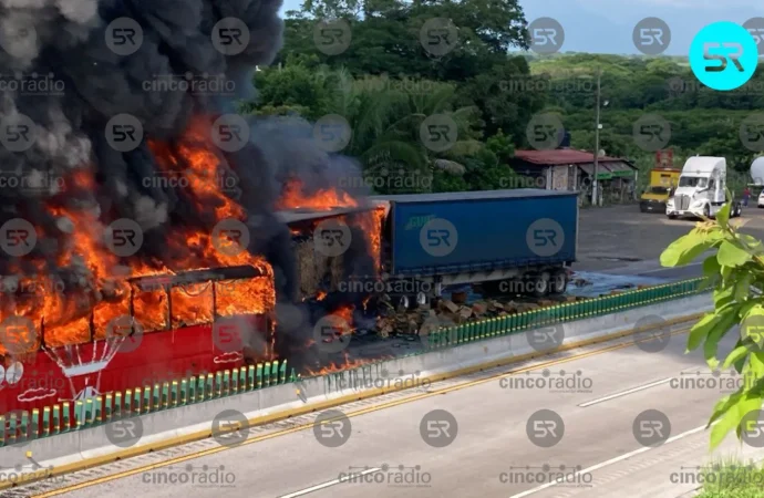 Autobús de ADO se incendia en la autopista Córdoba–Veracruz; autoridades aseguran el orden