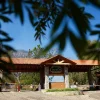 Terreno donde falleció “El mencho” será subastado