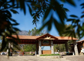 Terreno donde falleció “El mencho” será subastado