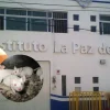 Crueldad animal en escuela de Puebla; alumnos diseccionarían animales vivos: FGE ya investiga