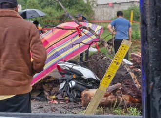 Fallece menor de edad tras caerle un árbol mientras viajaba en motocicleta en San Martín Texmelucan