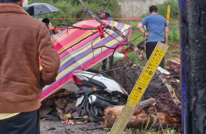 Fallece menor de edad tras caerle un árbol mientras viajaba en motocicleta en San Martín Texmelucan