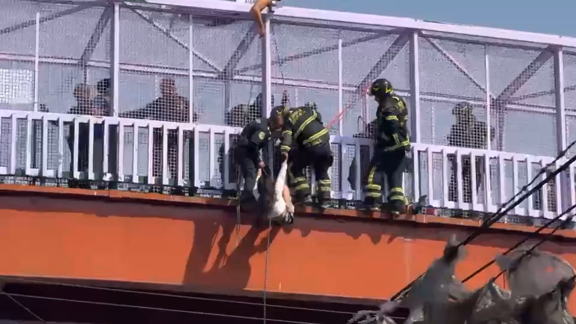 Mujer cae a las vías del Metro en CDMX tras intento de suicidio en puente peatonal
