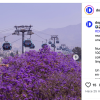 Día Mundial del Medio Ambiente: el cablebús como alternativa para mejorar la calidad del aire en Puebla
