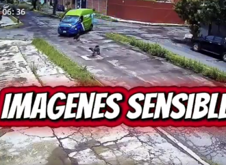 Repartidor de agua Junghanns atropella a un perro en Puebla y continúa su marcha sin detenerse