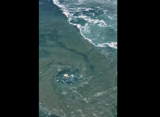 Impresionante vórtice en la Bahía Principal de Puerto Escondido: llaman a respetar las banderas