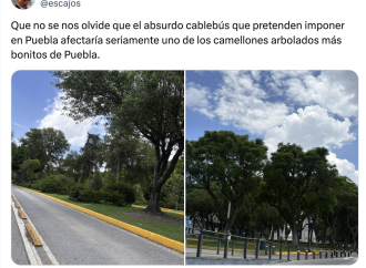 El Cablebús de Puebla no contempla la tala masiva del camellón del Bulevar 5 de Mayo, confirma el gobierno estatal