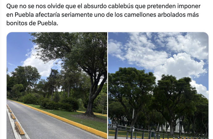 El Cablebús de Puebla no contempla la tala masiva del camellón del Bulevar 5 de Mayo, confirma el gobierno estatal