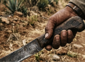 Ataque con machetes en San Jerónimo Caleras deja cinco personas lesionadas
