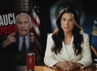 Tulsi Gabbard publica documentos que acusan a Fauci de manipular agencias de inteligencia sobre el origen del COVID-19