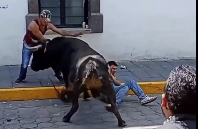 Dos albañiles resultan heridos durante Festival Pamplona en Amaxac de Guerrero, Tlaxcala