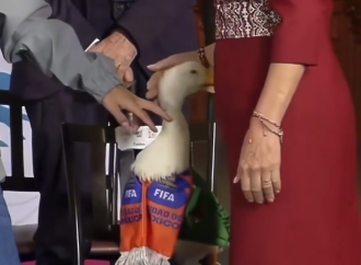 Video del Pato Merlín atacando a la presidenta Sheinbaum se vuelve viral en redes sociales