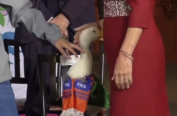 Video del Pato Merlín atacando a la presidenta Sheinbaum se vuelve viral en redes sociales