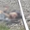 Tragedia en Bosques de Amalucan: persona muere arrollada por el tren; cuerpo quedó severamente mutilado
