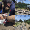 Víctima arrollada por tren en Amalucan sobrevive con amputaciones y lesiones graves