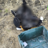 Hallan restos humanos calcinados en terrenos junto al Periférico Ecológico en Puebla