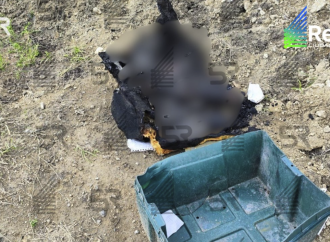 Hallan restos humanos calcinados en terrenos junto al Periférico Ecológico en Puebla