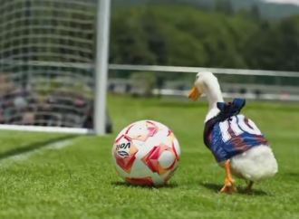 Atlante FC impulsa su identidad con el “Pato Merlín” y genera debate en redes sociales