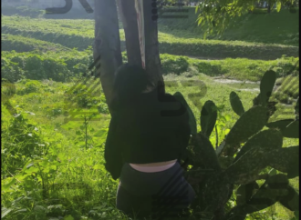 Hallan a una persona sin vida bajo el Puente Negro en Puebla; investigan posible suicidio
