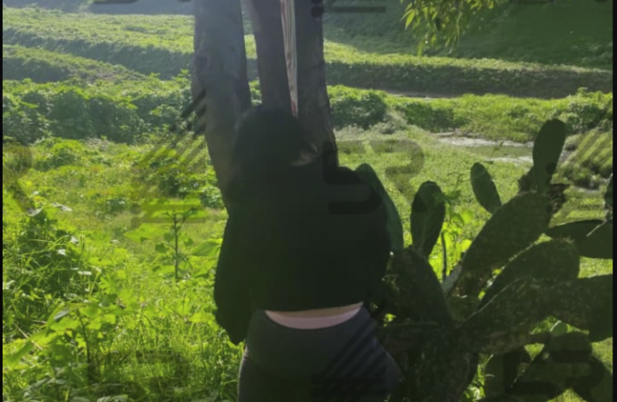 Hallan a una persona sin vida bajo el Puente Negro en Puebla; investigan posible suicidio
