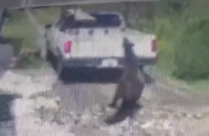 Sujeto arrastra a caballo con camioneta en Texmelucan; video genera indignación