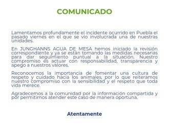 Junghanns reconoce atropello de perro en Puebla pero no aclara sanciones al conductor