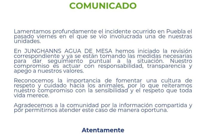 Junghanns reconoce atropello de perro en Puebla pero no aclara sanciones al conductor