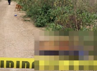Presunto enfrentamiento y aseguramiento de narcolaboratorio en la Sierra Norte de Puebla