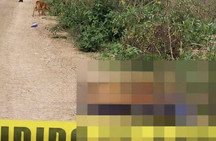 Presunto enfrentamiento y aseguramiento de narcolaboratorio en la Sierra Norte de Puebla