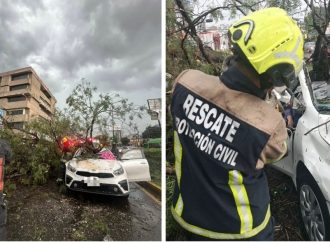 Identifican a mujer que murió aplastada por un árbol durante la tormenta en Puebla