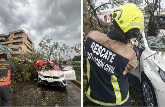 Identifican a mujer que murió aplastada por un árbol durante la tormenta en Puebla