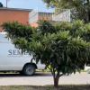 Movilización en Bosques de San Sebastián por hallazgo de dos personas sin vida