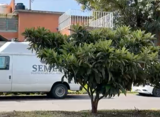 Movilización en Bosques de San Sebastián por hallazgo de dos personas sin vida