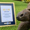 Jonathan, la tortuga terrestre más longeva del mundo, cumple 194 años según Guinness World Records