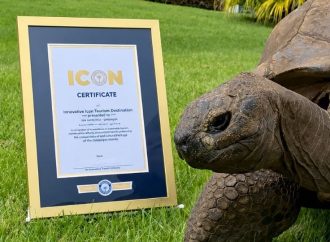 Jonathan, la tortuga terrestre más longeva del mundo, cumple 194 años según Guinness World Records