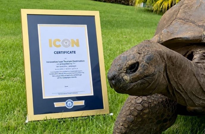 Jonathan, la tortuga terrestre más longeva del mundo, cumple 194 años según Guinness World Records