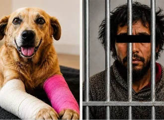 Sentencia histórica en Puebla: 11 años de prisión para agresor del perro Huesitos