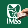 IMSS aclara que no suspenderá pensiones en julio de 2026