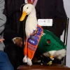 La familia Gómez es propietaria de la marca del pato Merlín, confirma el IMPI