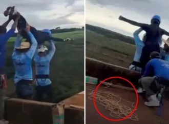 Enfermera que auxilió a joven fallecida en bungee revela que no murió al instante y habló con ella