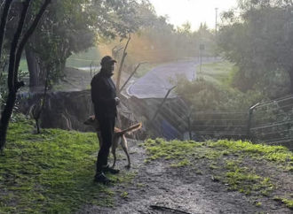 Deslave por lluvias provoca colapso de ciclovía en el Parque Metropolitano de Puebla
