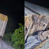 Descarrilamiento del Tren Interoceánico se repite en la misma zona de Oaxaca