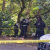 Cinco cuerpos son abandonados en la autopista Orizaba-Puebla; autoridades de Veracruz investigan