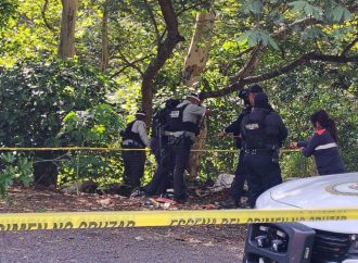 Cinco cuerpos son abandonados en la autopista Orizaba-Puebla; autoridades de Veracruz investigan