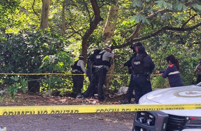 Cinco cuerpos son abandonados en la autopista Orizaba-Puebla; autoridades de Veracruz investigan